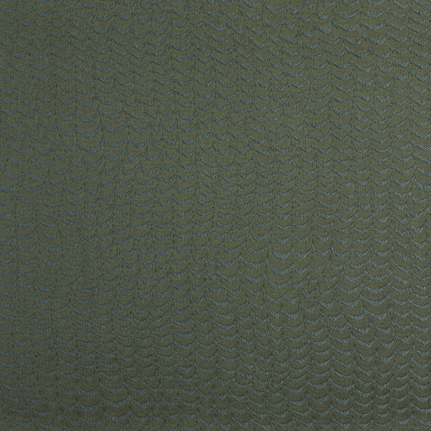 PIPIT - 6009